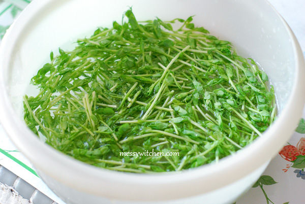 Wash Pea Sprouts